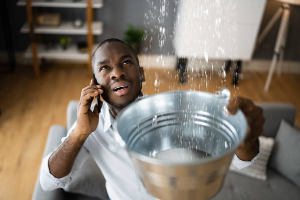 Best Local water damage restoration  in Dresser, WI