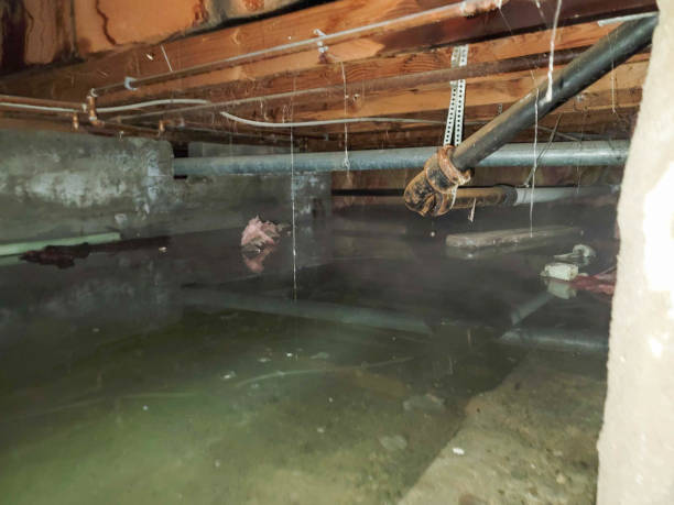 Best Fire Damage Restoration  in Dresser, WI