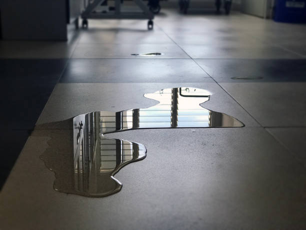 Best 24/7 water damage repair  in Dresser, WI