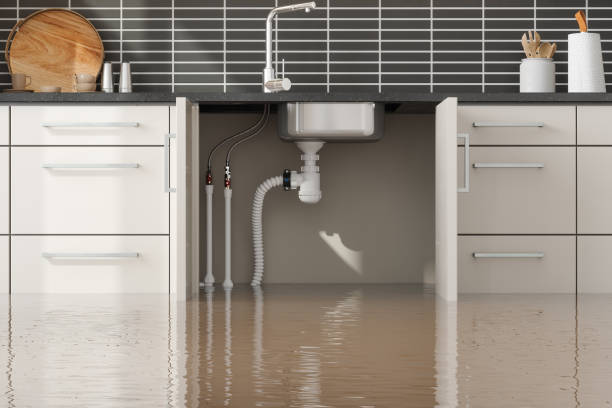 Best Water damage restoration near me  in Dresser, WI