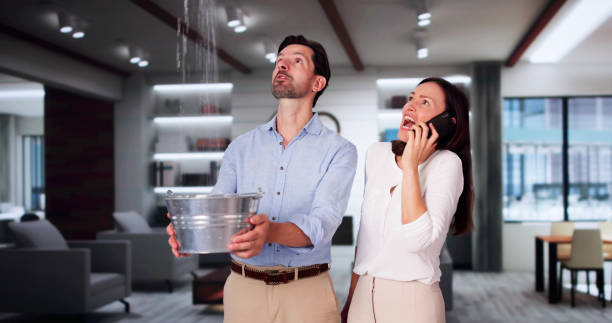 Best Water damage restoration process  in Dresser, WI